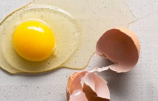 فروش عمده مایع کامل تخم مرغ بهداشتی